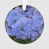 Hydrangea macrophylla violette rustique (devant)