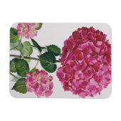 Hydrangea Magneet (Horizontaal)