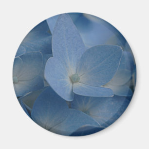 hydrangea magnet magneet