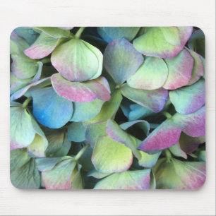 HYDRANGEA Meerkleurige bladen — Muismat