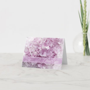 Hydrangea Merci rose doux