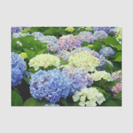 Hydrangea Mix-TISSUE WRAPPINGPAPIER Tissuepapier