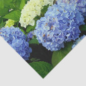 Hydrangea Mix-TISSUE WRAPPINGPAPIER Tissuepapier (Detail)