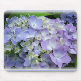 Hydrangea Muismat