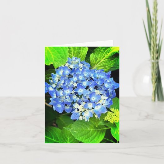 Hydrangea Note Kaart (Voorkant)