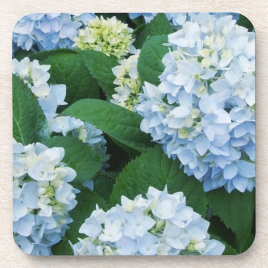 Hydrangea Onderzetter Set (Voorkant)