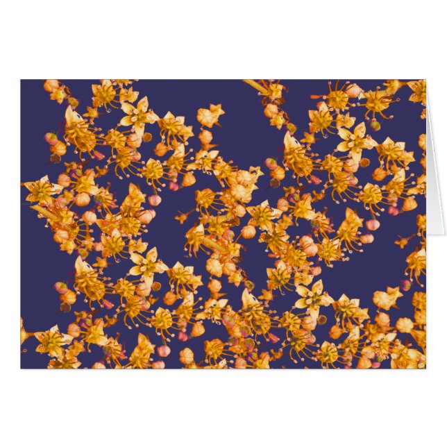 hydrangea oranje en marine (Voorkant Horizontaal)