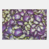 Hydrangea Paars flesje Fotografisch Inpakpapier Vel (Voorkant 2)