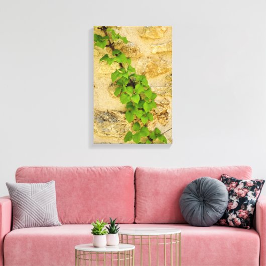 Hydrangea petiolaris canvas afdruk (Insitu (Woonkamer))