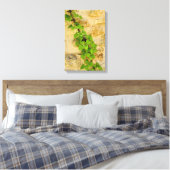 Hydrangea petiolaris canvas afdruk (Insitu (Slaapkamer))