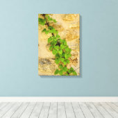 Hydrangea petiolaris canvas afdruk (Insitu (Houten vloer))