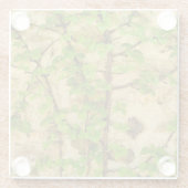 Hydrangea petiolaris glazen onderzetter (Achterkant)