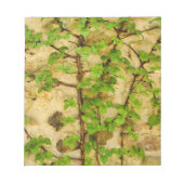 Hydrangea petiolaris notitieblok (Voorkant)