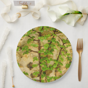 Hydrangea petiolaris papier Bord