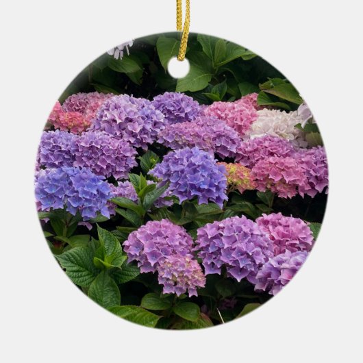 Hydrangea Photograph Keramisch Ornament (Voorkant)