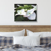 Hydrangea - Photographie Florale - Toile (Insitu(Chambre))