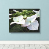 Hydrangea - Photographie Florale - Toile (Insitu (Plancher de Bois))