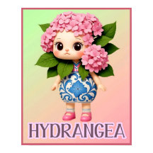 HYDRANGEA POP