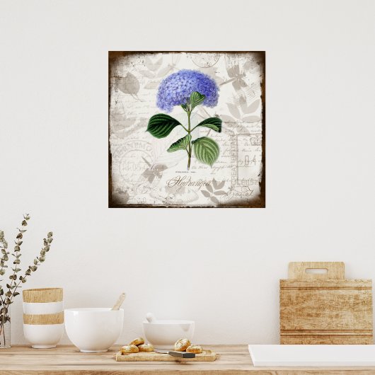  Hydrangea Poster (Keuken)