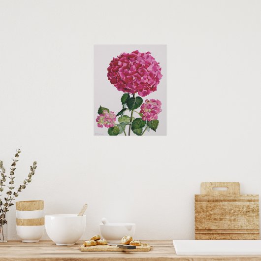 Hydrangea Poster (Keuken)
