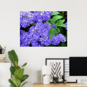 Hydrangea Poster (Thuiskantoor)