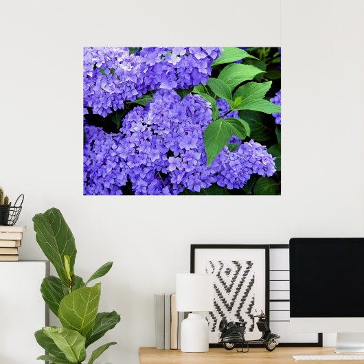 Hydrangea Poster (Thuiskantoor)