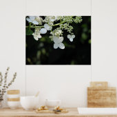Hydrangea Poster (Keuken)