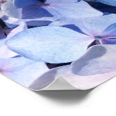 Hydrangea Print (Hoek)