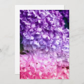 Hydrangea Rainbow (Voorkant / Achterkant)