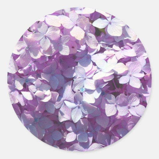 Hydrangea Ronde Sticker (Voorkant)