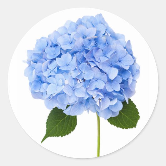 Hydrangea Ronde Sticker (Voorkant)