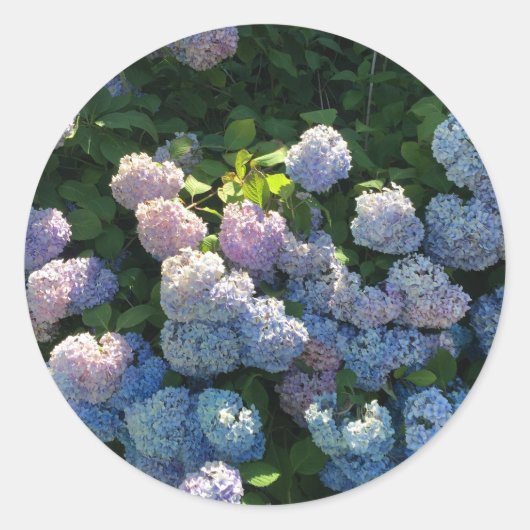 Hydrangea Stickers Envelope Seals met Flowers (Voorkant)
