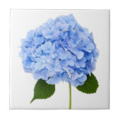 Hydrangea Tegeltje (Voorkant)
