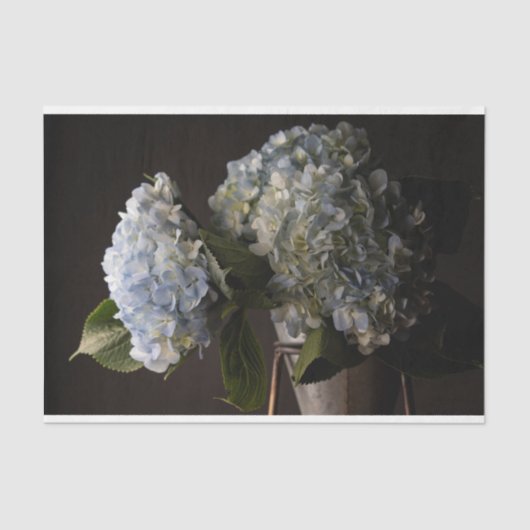 Hydrangea Tissue Paper Tissuepapier (Voorkant)
