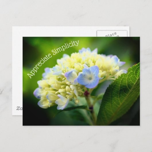 Hydrangea Vloeraanzin Inspirerend Briefkaart (Voorkant / Achterkant)