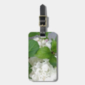 Hydrangea Vloergroene witte Natuur TuinPlanten Bagagelabel (Voorkant verticaal)