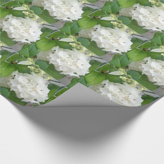 Hydrangea Vloergroene witte Natuur TuinPlanten Cadeaupapier (Hoek)