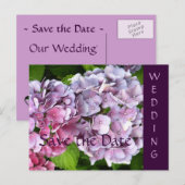 Hydrangea Wedding Save the Date Briefkaart (Voorkant / Achterkant)