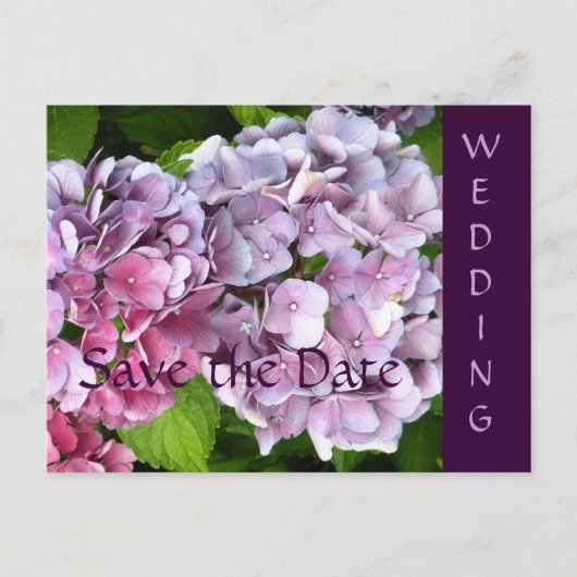 Hydrangea Wedding Save the Date Briefkaart (Voorkant)