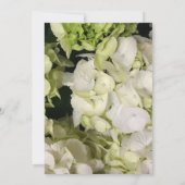 Hydrangea White Green Wedding Suite Kaart (Achterkant)