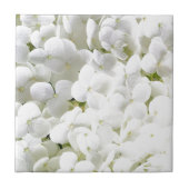 Hydrangea wit bloemmotief tegeltje (Voorkant)