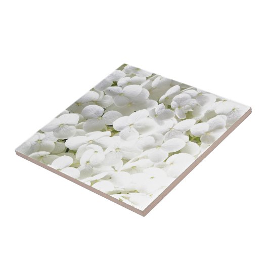 Hydrangea wit bloemmotief tegeltje (Zijkant)