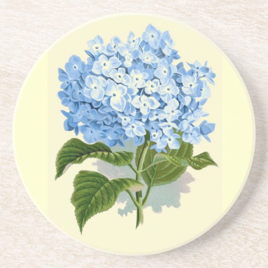 Hydrangea Zandsteen Onderzetter (Voorkant)