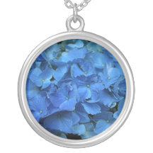 Hydrangea