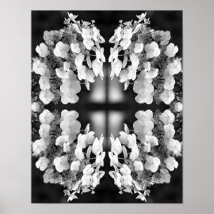 Hydrangea zwart-wit spiegel Abstract Poster