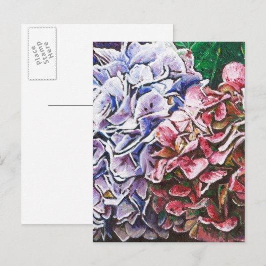 Hydrangeas 2010 briefkaart (Voorkant / Achterkant)