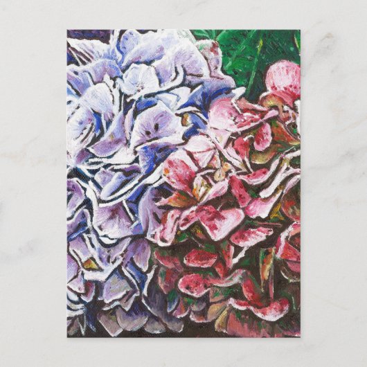 Hydrangeas 2010 briefkaart (Voorkant)
