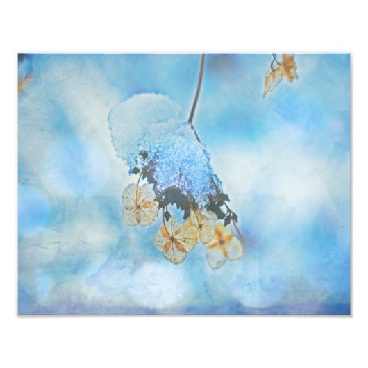 Hydrangeas, bevroren foto afdruk (Voorkant)