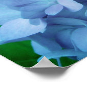 Hydrangeas {Blauw} | POSTER (Hoek)