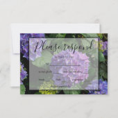 Hydrangeas bleu violet fleuri jardin fleuri RSVP (Devant)